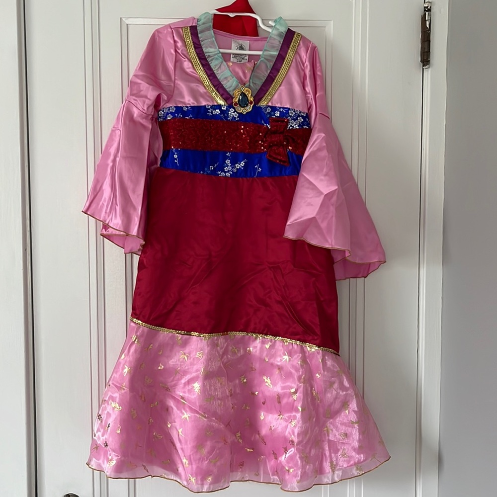 Disney princess Mulan costume